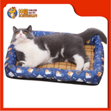 CUSHION SQUARE {L} 54CMX46CM