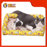 CUSHION SQUARE {L} 54CMX46CM