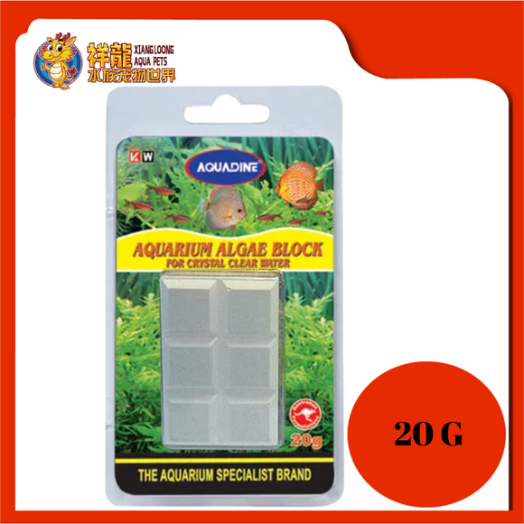 AQUADINE ALGAE BLOCK [AQUARIUM USED] 20GM