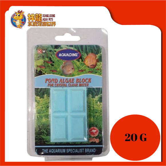AQUADINE ALGAE BLOCK [POND USED] 20GM