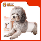 PET DIAPERS MALE [L]