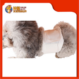 PET DIAPERS MALE [L]