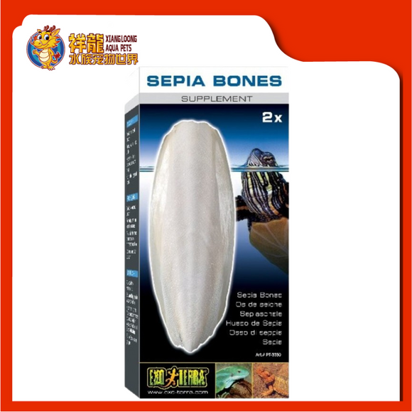 EXOTERRA SEPIA BONE FOR TURTLE {PT3550}