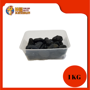 BLACK STONE (M)(POLISH)